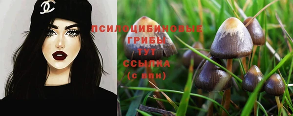 каннабис Абинск