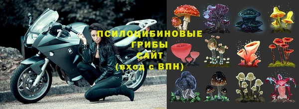 спиды Абдулино
