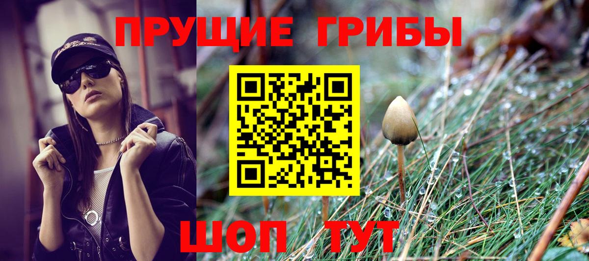 Псилоцибиновые грибы GOLDEN TEACHER  Вход с VPN  Карталы 