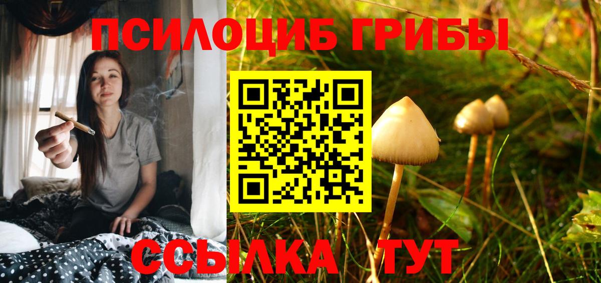 Псилоцибиновые грибы прущие грибы Карталы